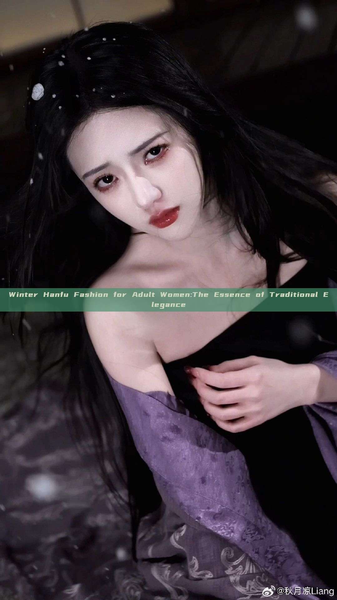 Winter Hanfu Fashion for Adult Women:The Essence of Traditional Elegance Winter Hanfu Fashion for Adult Women:The Essence of Traditional Elegance