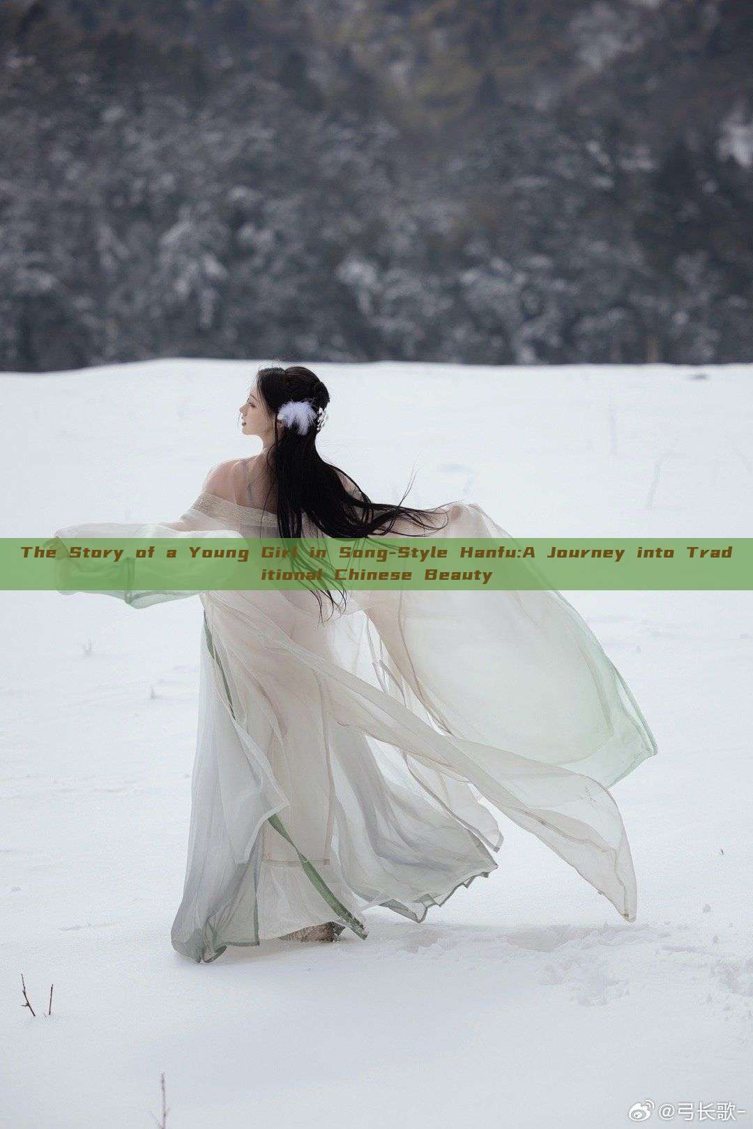The Story of a Young Girl in Song-Style Hanfu:A Journey into Traditional Chinese Beauty The Story of a Young Girl in Song-Style Hanfu:A Journey into Traditional Chinese Beauty