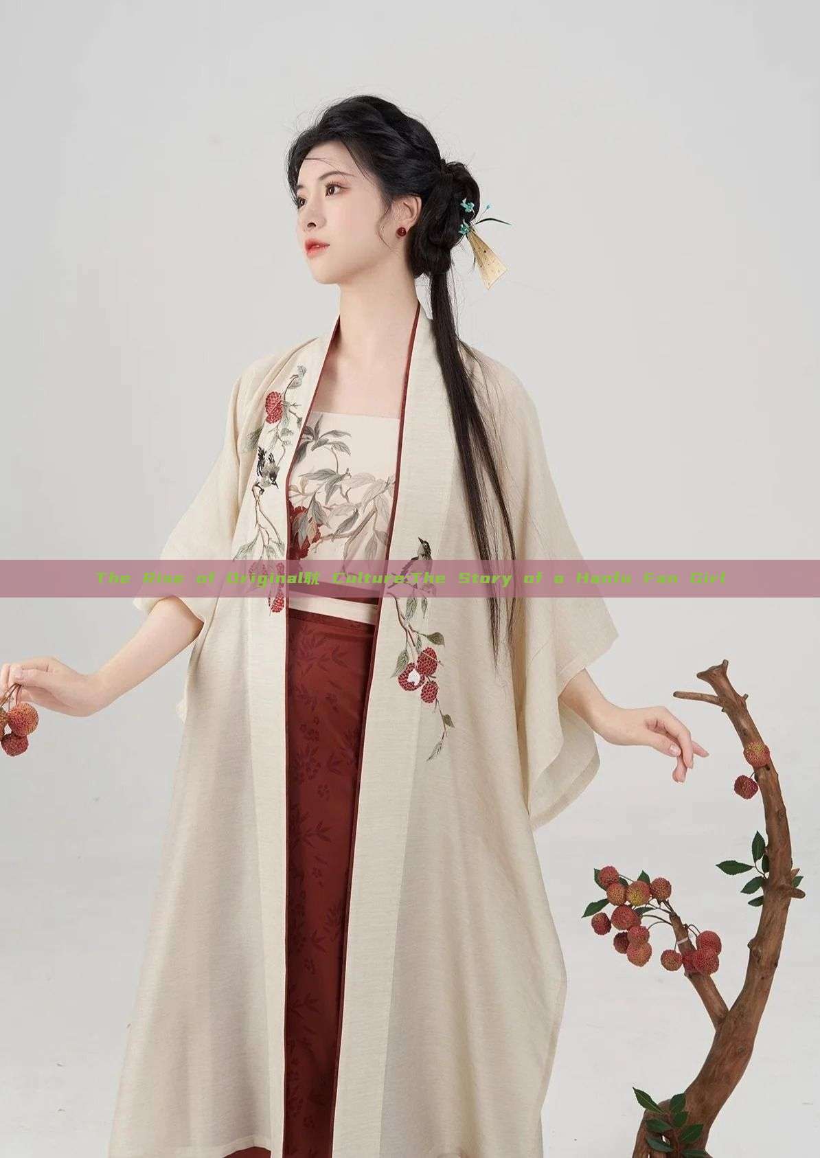 The Rise of Original耽 Culture:The Story of a Hanfu Fan Girl
