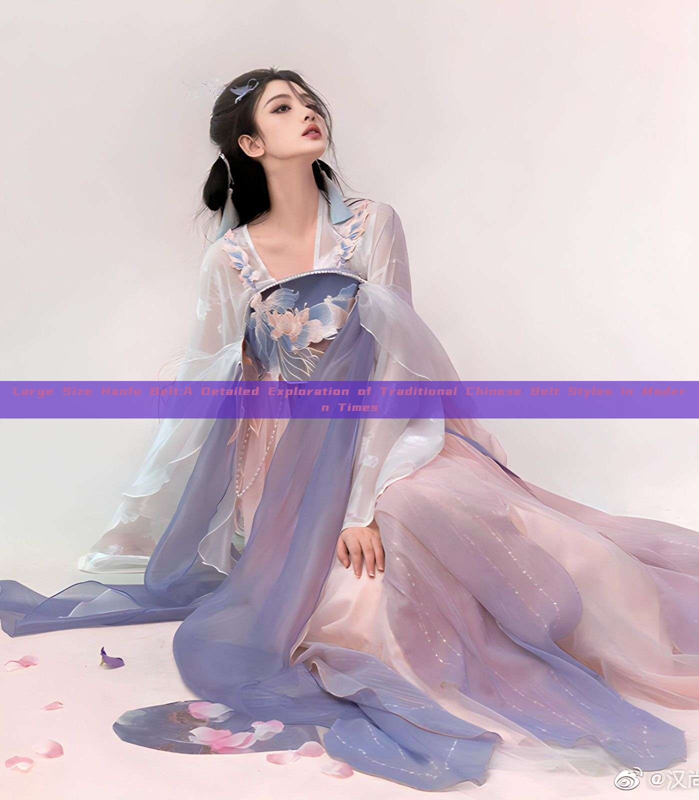Large Size Hanfu Belt:A Detailed Exploration of Traditional Chinese Belt Styles in Modern Times Large Size Hanfu Belt:A Detailed Exploration of Traditional Chinese Belt Styles in Modern Times