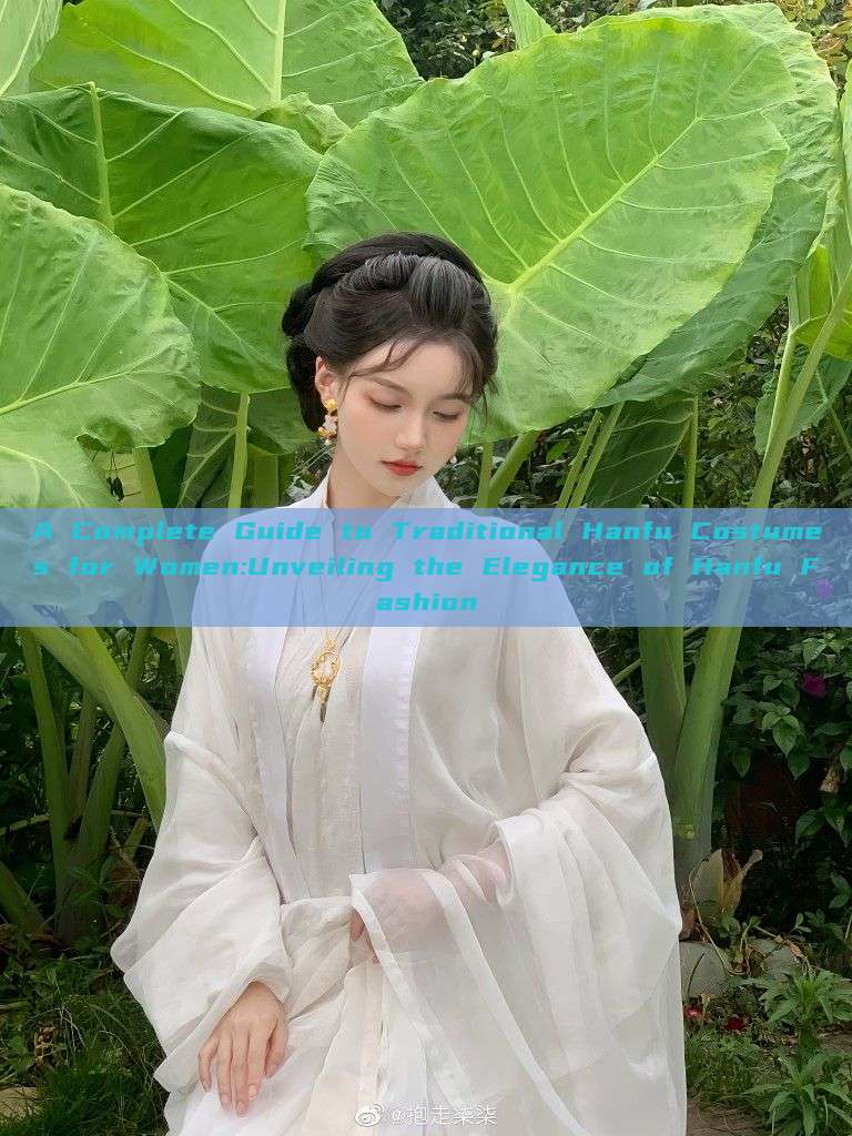A Complete Guide to Traditional Hanfu Costumes for Women:Unveiling the Elegance of Hanfu Fashion A Complete Guide to Traditional Hanfu Costumes for Women:Unveiling the Elegance of Hanfu Fashion