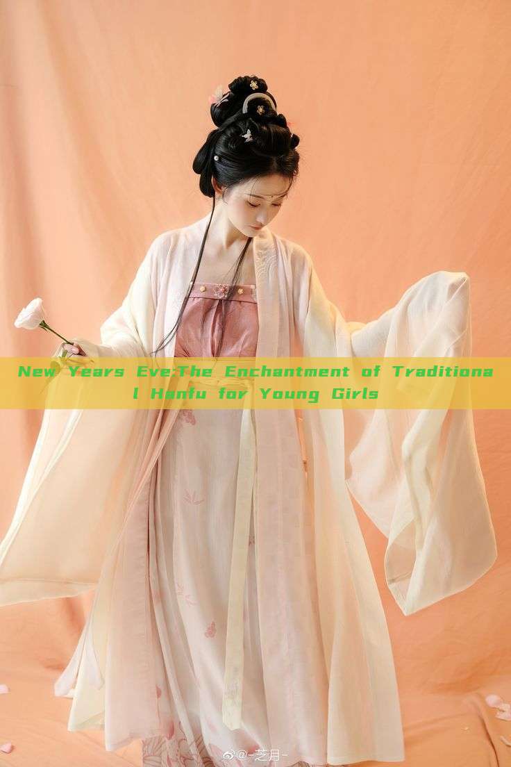 New Years Eve:The Enchantment of Traditional Hanfu for Young Girls New Years Eve:The Enchantment of Traditional Hanfu for Young Girls