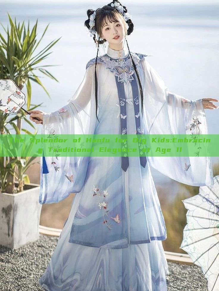 The Splendor of Hanfu for Big Kids:Embracing Traditional Elegance at Age 11 The Splendor of Hanfu for Big Kids:Embracing Traditional Elegance at Age 11