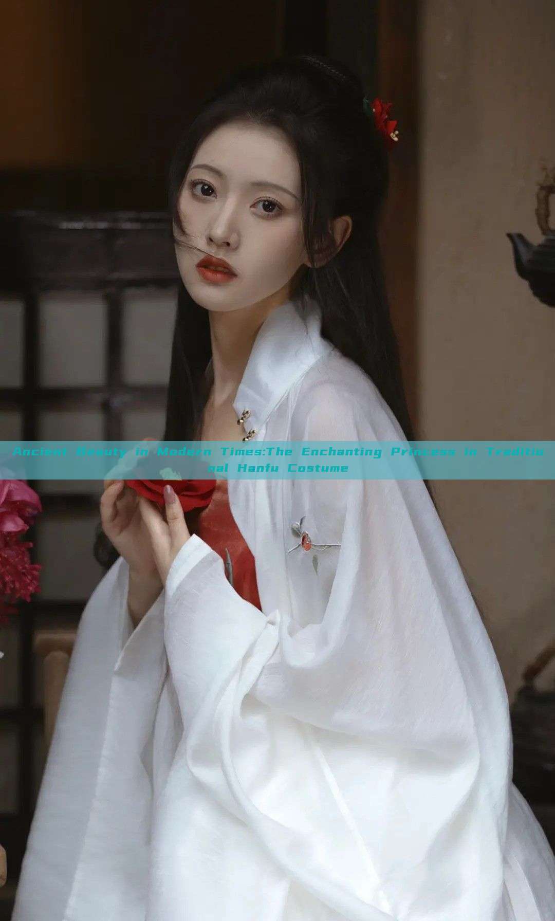Ancient Beauty in Modern Times:The Enchanting Princess in Traditional Hanfu Costume Ancient Beauty in Modern Times:The Enchanting Princess in Traditional Hanfu Costume