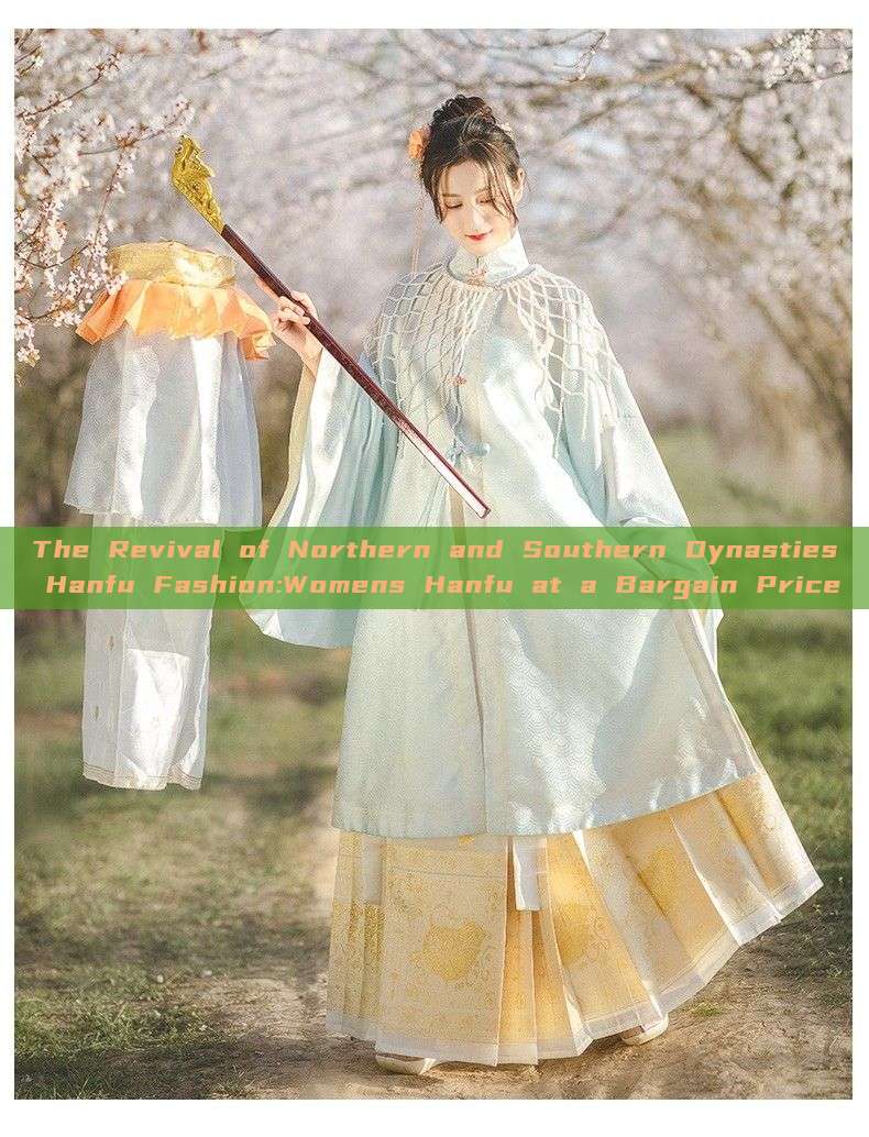 The Revival of Northern and Southern Dynasties Hanfu Fashion:Womens Hanfu at a Bargain Price The Revival of Northern and Southern Dynasties Hanfu Fashion:Womens Hanfu at a Bargain Price