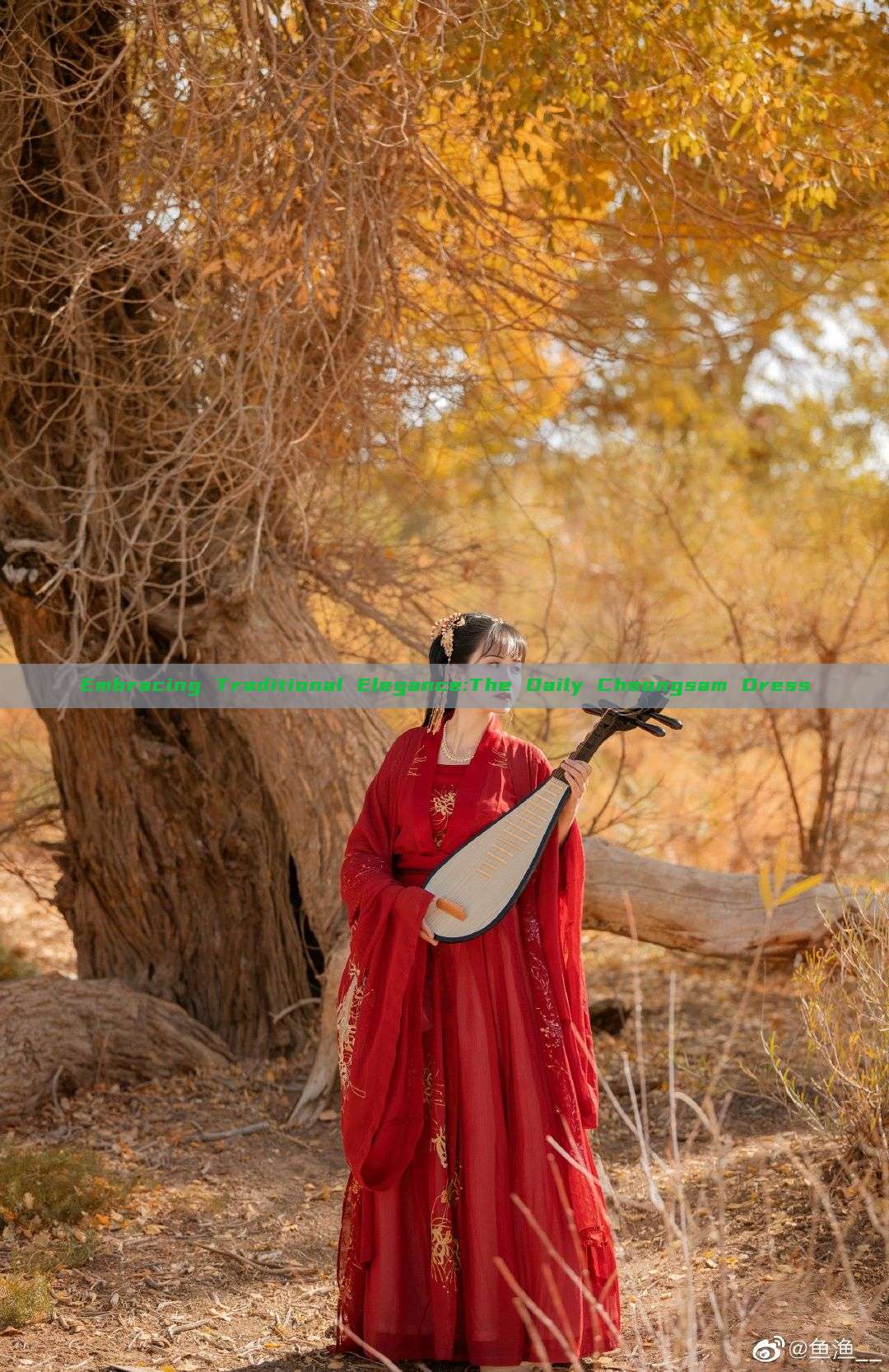Embracing Traditional Elegance:The Daily Cheongsam Dress Embracing Traditional Elegance:The Daily Cheongsam Dress