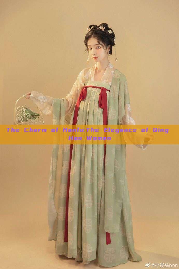 The Charm of Hanfu:The Elegance of Qing Han Women The Charm of Hanfu:The Elegance of Qing Han Women