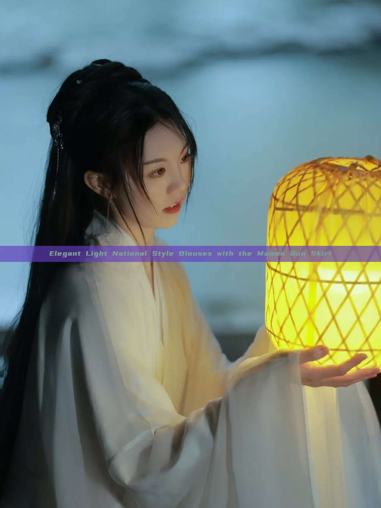 Elegant Light National Style Blouses with the Mamen Qun Skirt Elegant Light National Style Blouses with the Mamen Qun Skirt