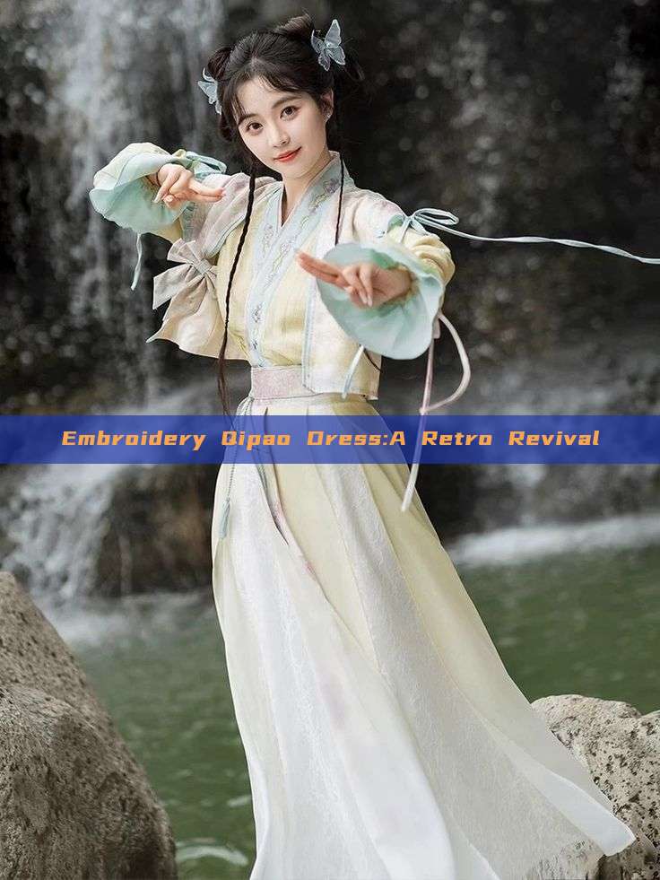 Embroidery Qipao Dress:A Retro Revival Embroidery Qipao Dress:A Retro Revival