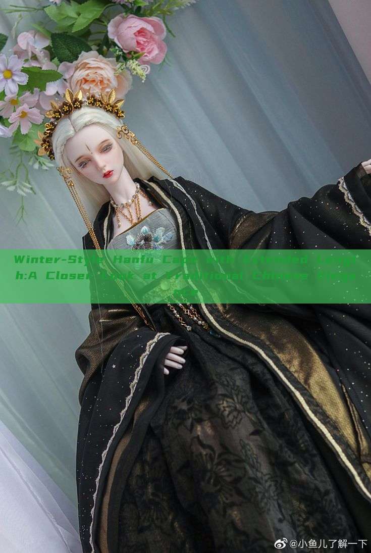 Winter-Style Hanfu Cape with Extended Length:A Closer Look at Traditional Chinese Elegance Winter-Style Hanfu Cape with Extended Length:A Closer Look at Traditional Chinese Elegance