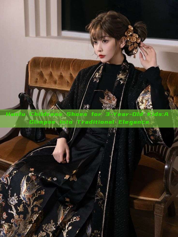 Hanfu Childrens Shoes for 3-Year-Old Kids:A Glimpse into Traditional Elegance Hanfu Childrens Shoes for 3-Year-Old Kids:A Glimpse into Traditional Elegance