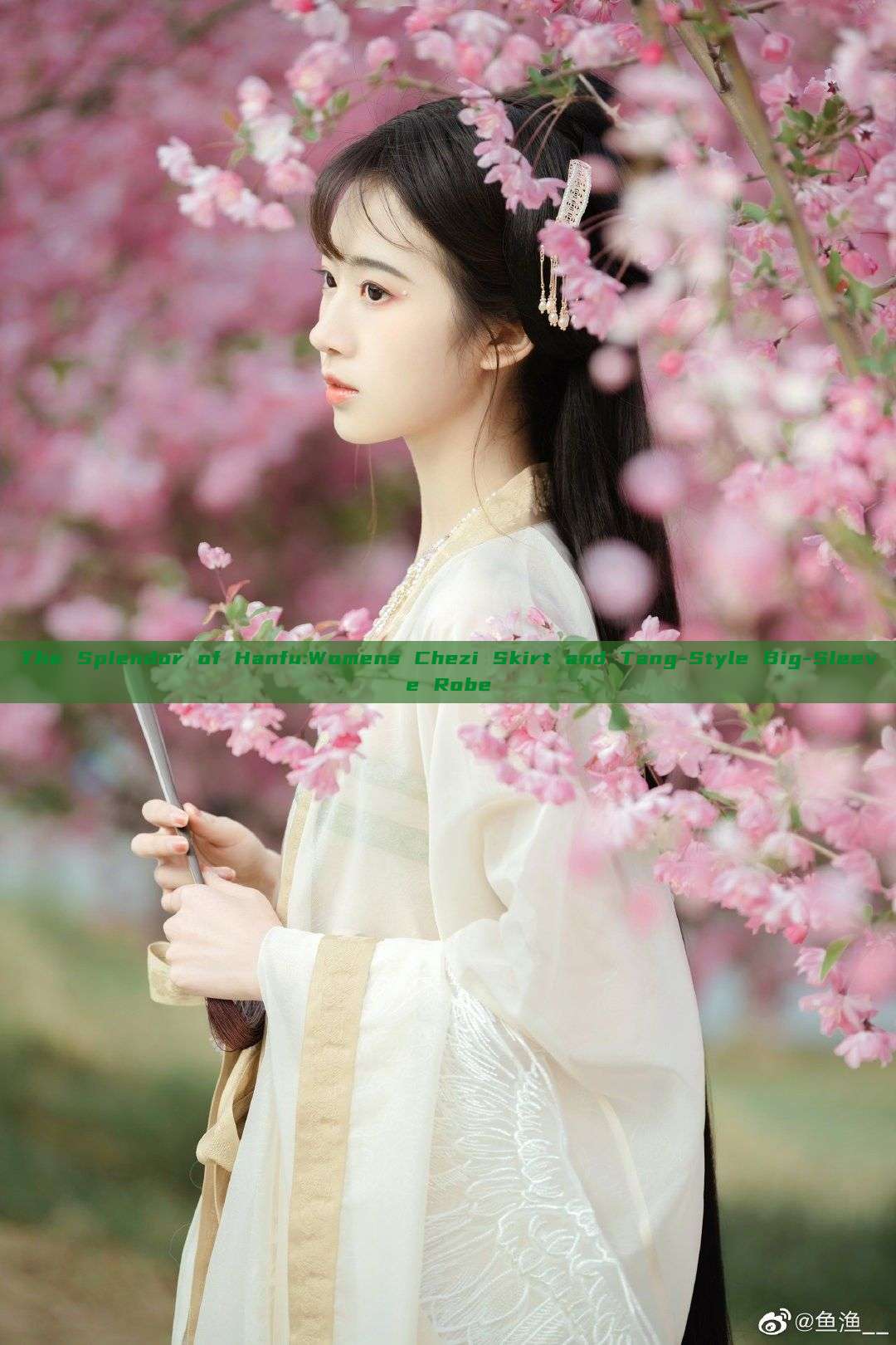 The Splendor of Hanfu:Womens Chezi Skirt and Tang-Style Big-Sleeve Robe The Splendor of Hanfu:Womens Chezi Skirt and Tang-Style Big-Sleeve Robe