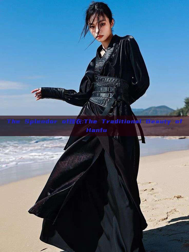 The Splendor of嫁衣:The Traditional Beauty of Hanfu The Splendor of嫁衣:The Traditional Beauty of Hanfu