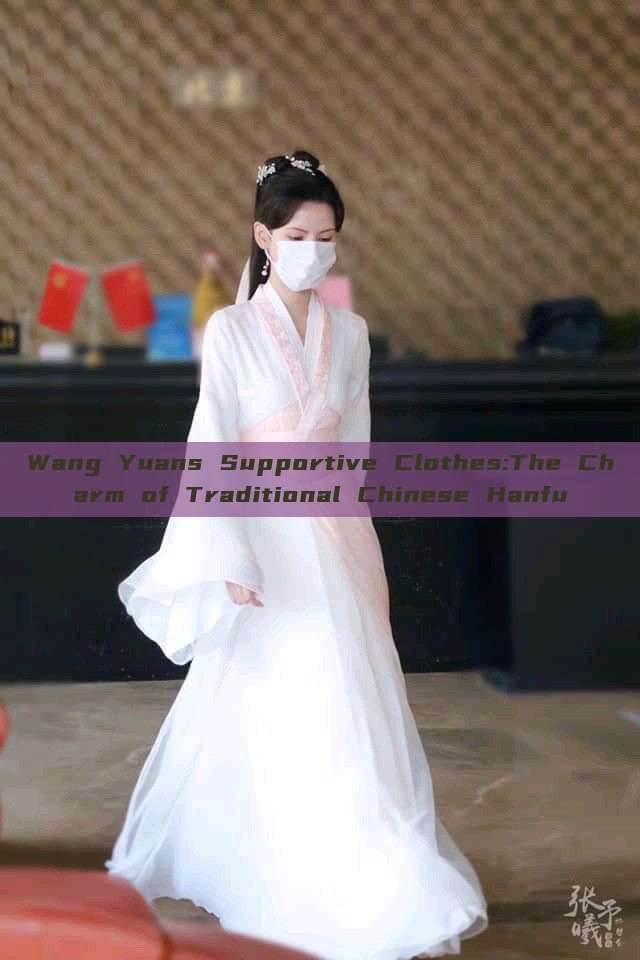 Wang Yuans Supportive Clothes:The Charm of Traditional Chinese Hanfu Wang Yuans Supportive Clothes:The Charm of Traditional Chinese Hanfu