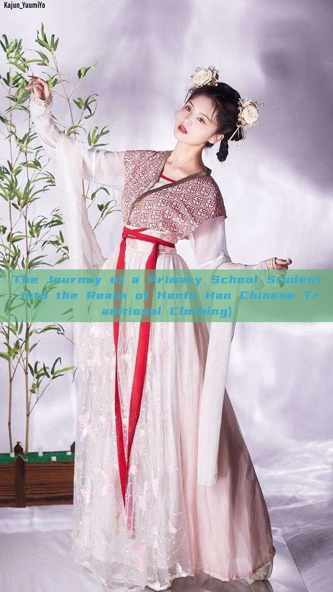 The Journey of a Primary School Student into the Realm of Hanfu Han Chinese Traditional Clothing) The Journey of a Primary School Student into the Realm of Hanfu Han Chinese Traditional Clothing)