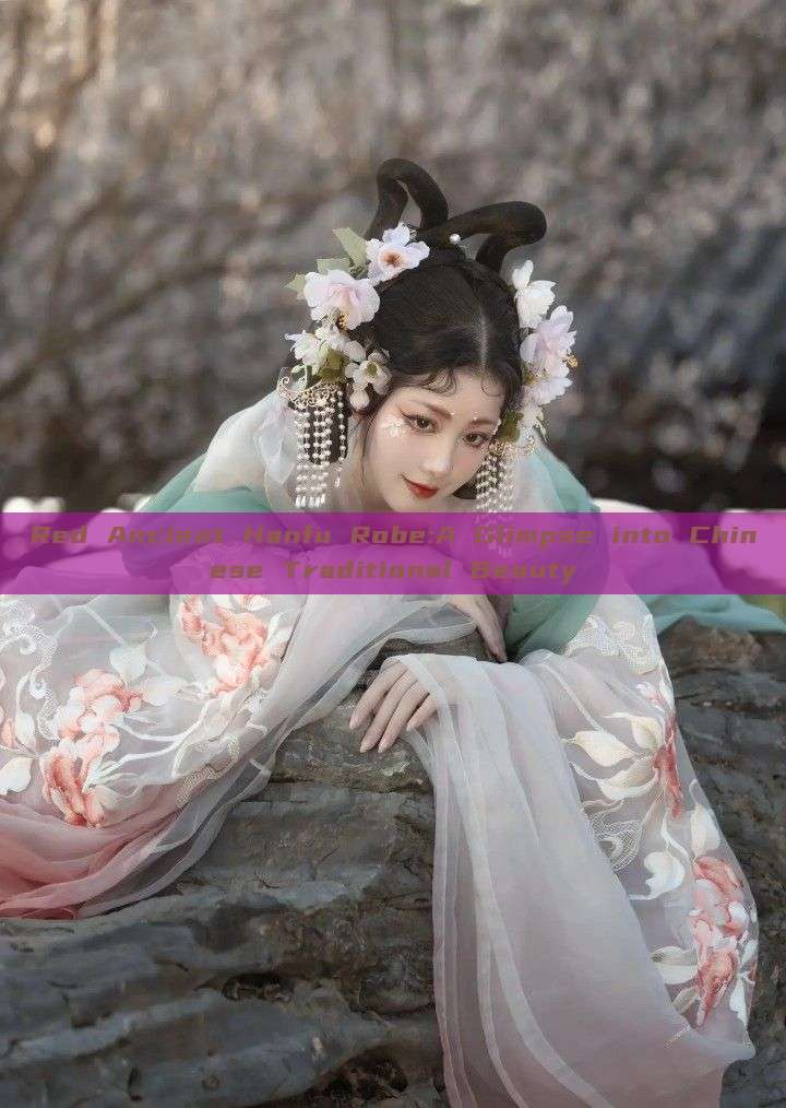 Red Ancient Hanfu Robe:A Glimpse into Chinese Traditional Beauty Red Ancient Hanfu Robe:A Glimpse into Chinese Traditional Beauty