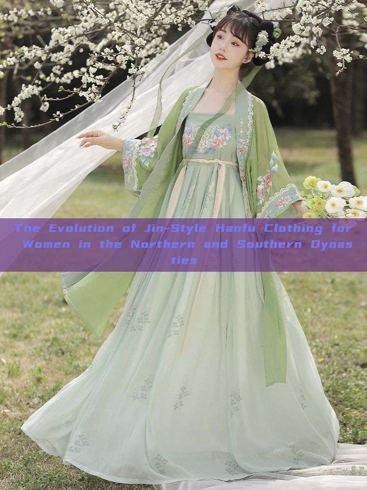 The Evolution of Jin-Style Hanfu Clothing for Women in the Northern and Southern Dynasties The Evolution of Jin-Style Hanfu Clothing for Women in the Northern and Southern Dynasties