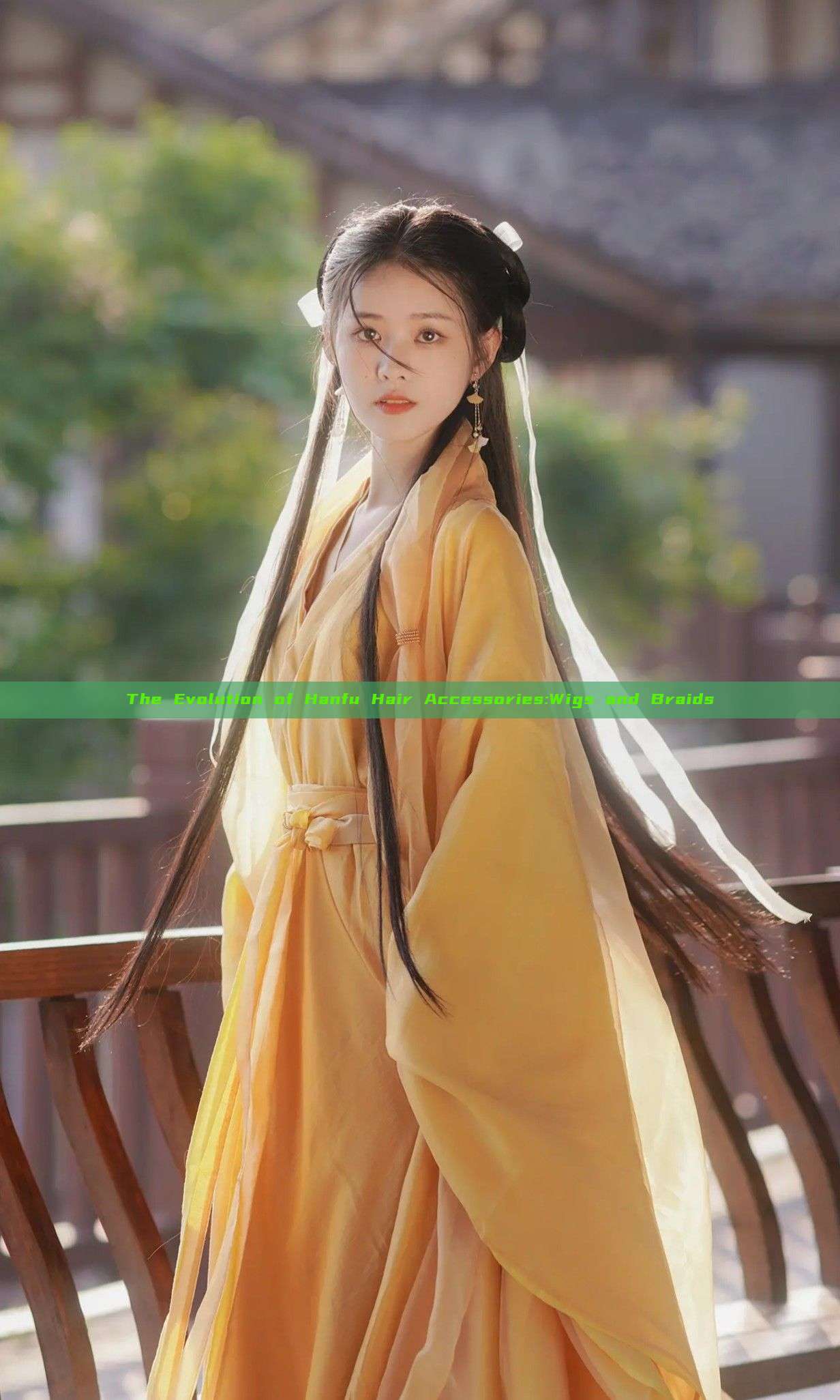 The Evolution of Hanfu Hair Accessories:Wigs and Braids The Evolution of Hanfu Hair Accessories:Wigs and Braids