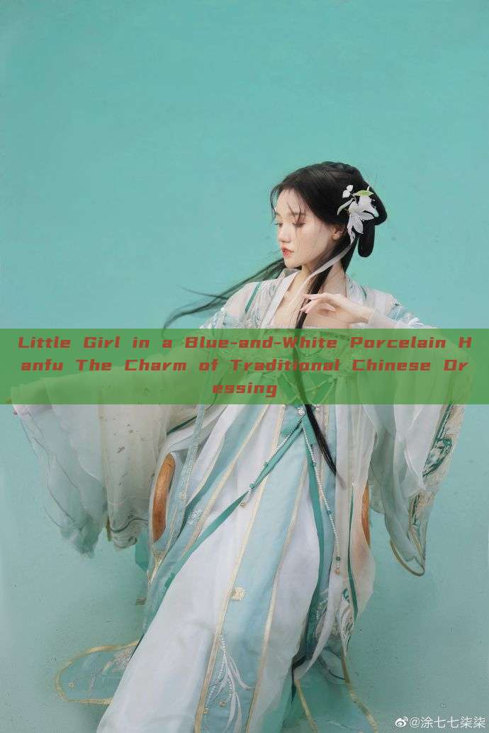 Little Girl in a Blue-and-White Porcelain Hanfu The Charm of Traditional Chinese Dressing