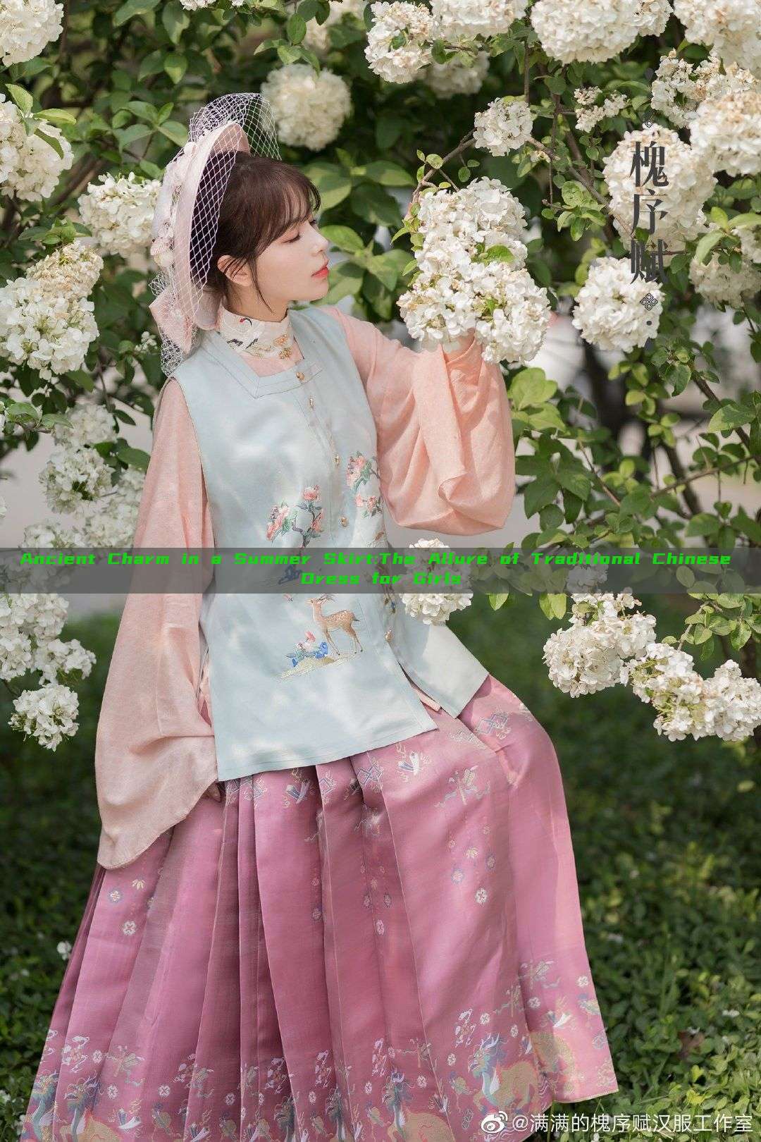 Ancient Charm in a Summer Skirt:The Allure of Traditional Chinese Dress for Girls Ancient Charm in a Summer Skirt:The Allure of Traditional Chinese Dress for Girls