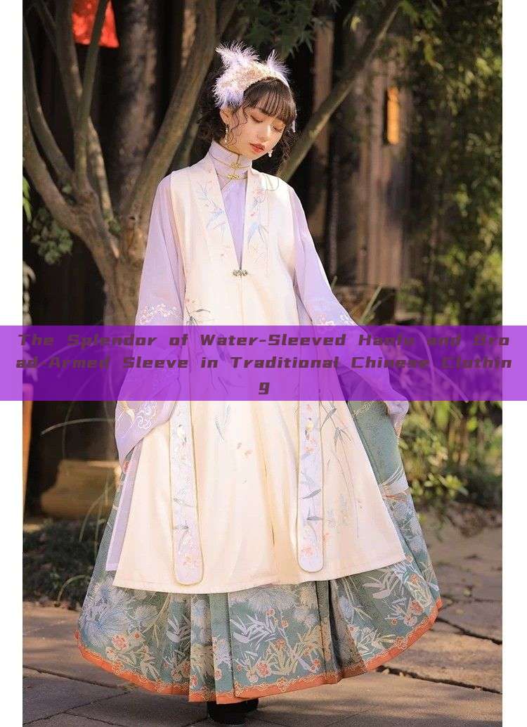 The Splendor of Water-Sleeved Hanfu and Broad-Armed Sleeve in Traditional Chinese Clothing The Splendor of Water-Sleeved Hanfu and Broad-Armed Sleeve in Traditional Chinese Clothing
