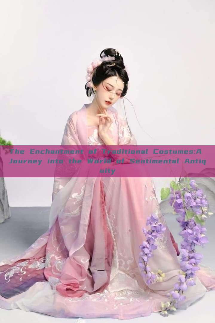 The Enchantment of Traditional Costumes:A Journey into the World of Sentimental Antiquity The Enchantment of Traditional Costumes:A Journey into the World of Sentimental Antiquity
