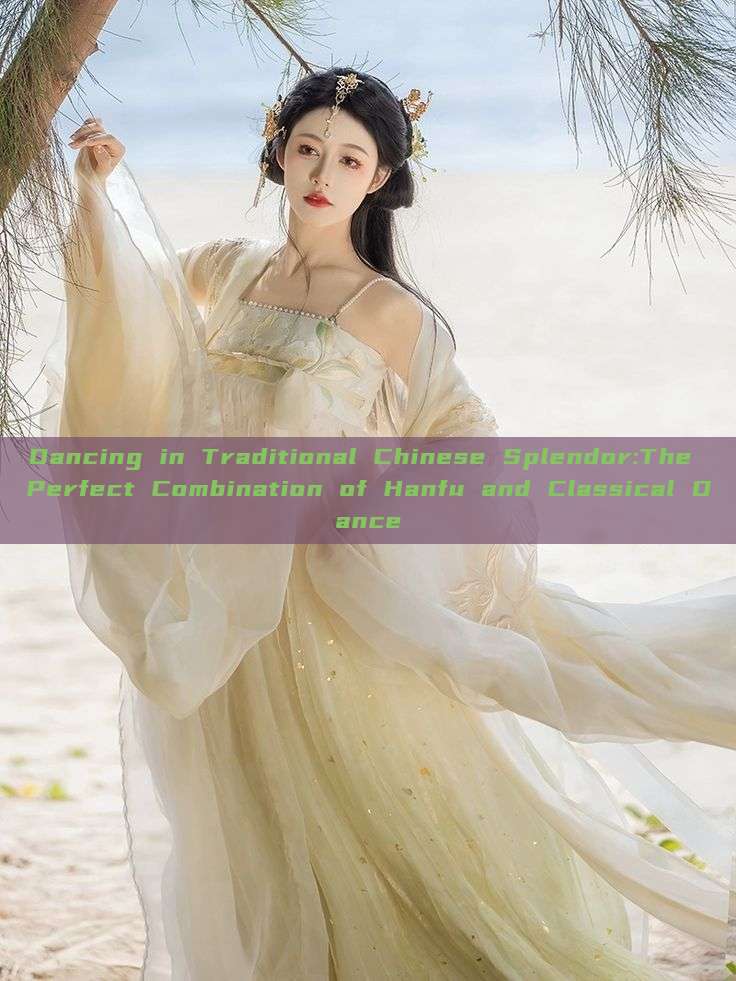 Dancing in Traditional Chinese Splendor:The Perfect Combination of Hanfu and Classical Dance Dancing in Traditional Chinese Splendor:The Perfect Combination of Hanfu and Classical Dance