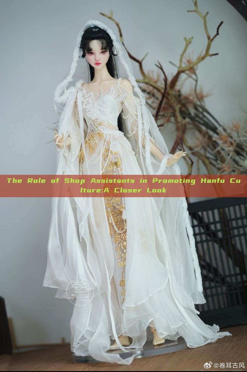 The Role of Shop Assistants in Promoting Hanfu Culture:A Closer Look The Role of Shop Assistants in Promoting Hanfu Culture:A Closer Look
