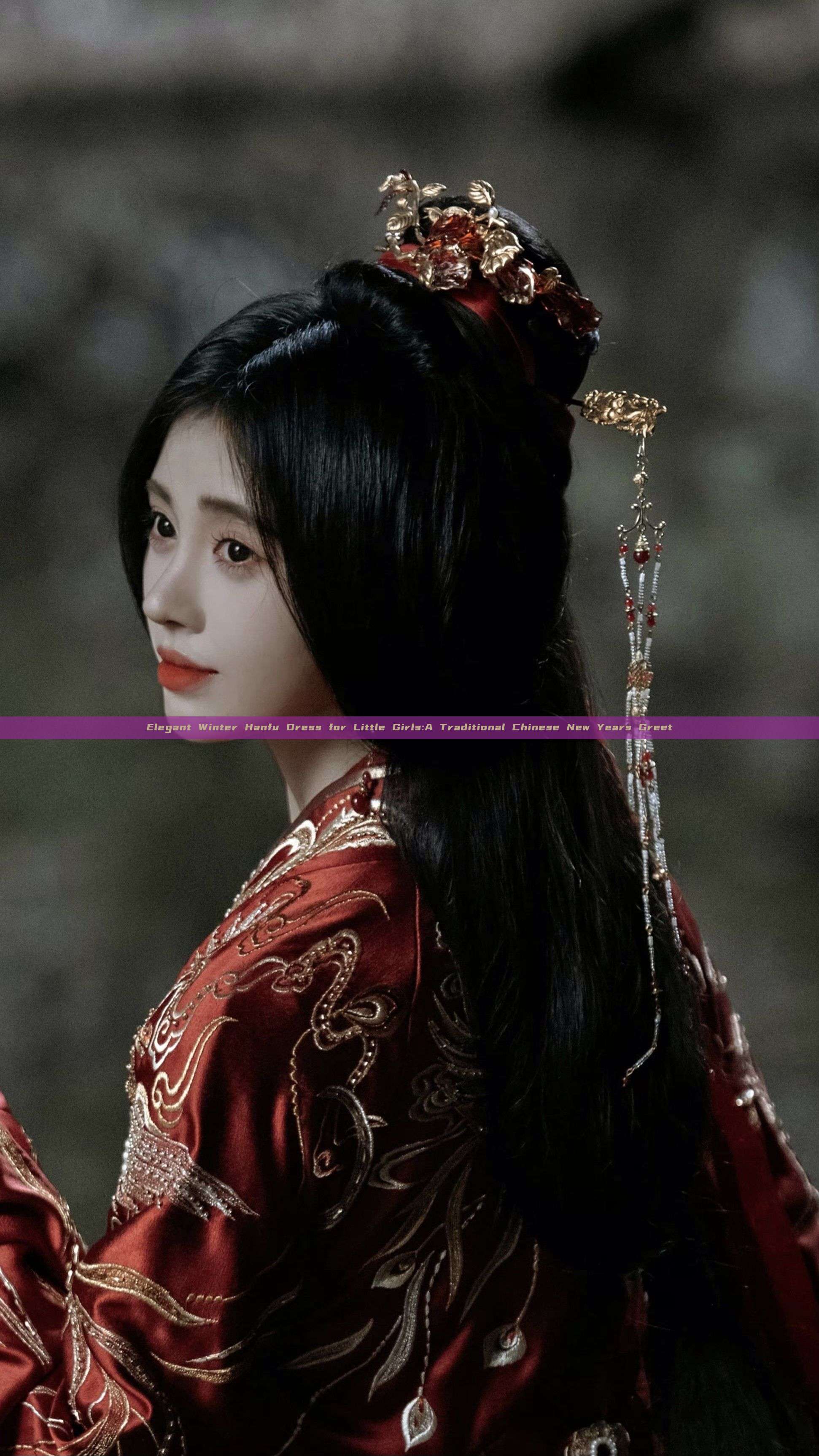 Elegant Winter Hanfu Dress for Little Girls:A Traditional Chinese New Years Greet Elegant Winter Hanfu Dress for Little Girls:A Traditional Chinese New Years Greet