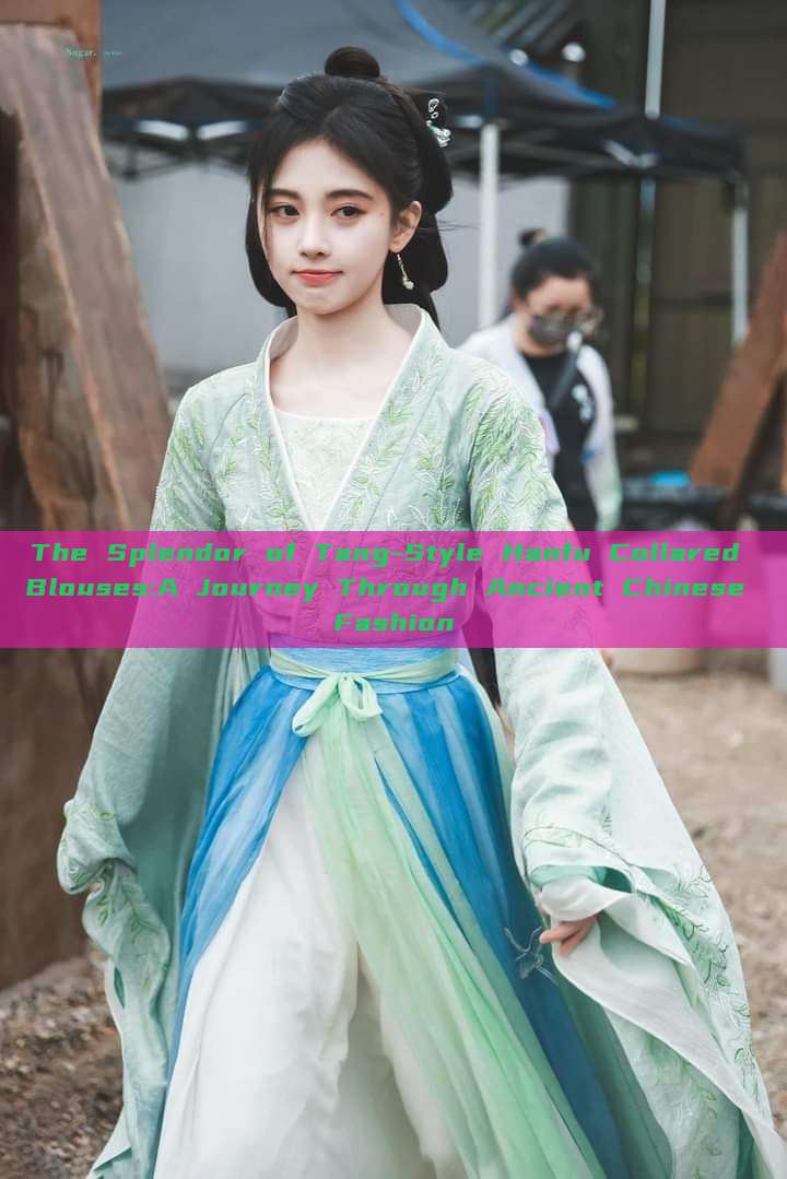 The Splendor of Tang-Style Hanfu Collared Blouses:A Journey Through Ancient Chinese Fashion The Splendor of Tang-Style Hanfu Collared Blouses:A Journey Through Ancient Chinese Fashion
