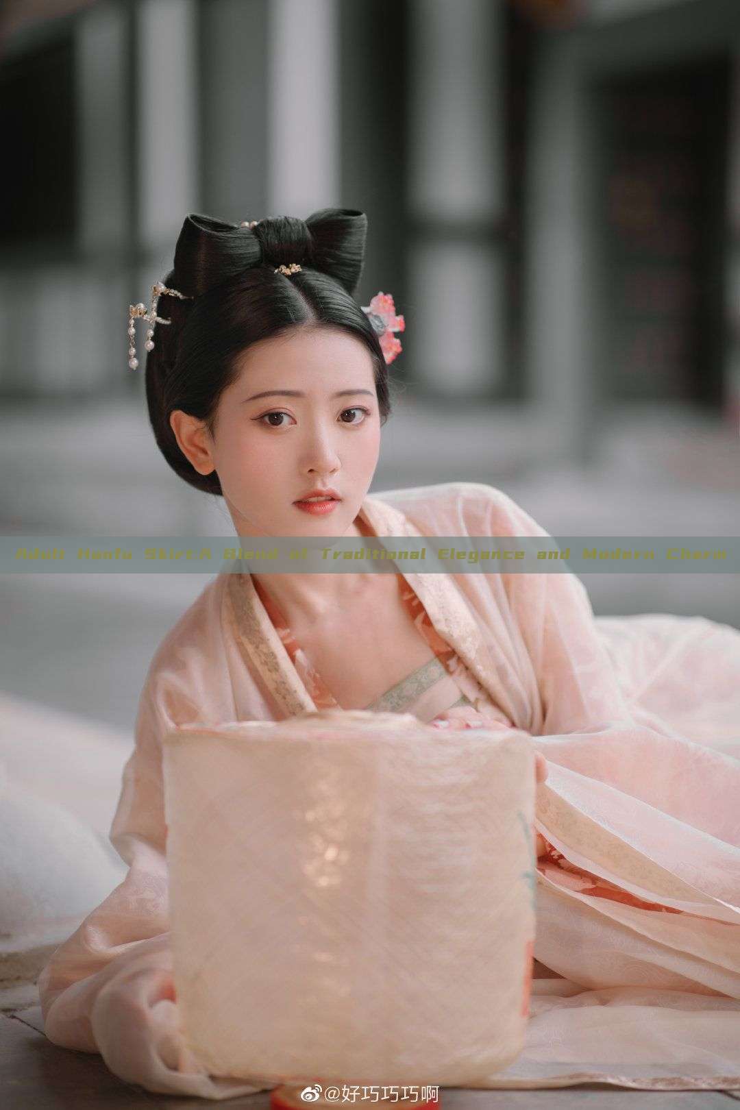 Adult Hanfu Skirt:A Blend of Traditional Elegance and Modern Charm Adult Hanfu Skirt:A Blend of Traditional Elegance and Modern Charm