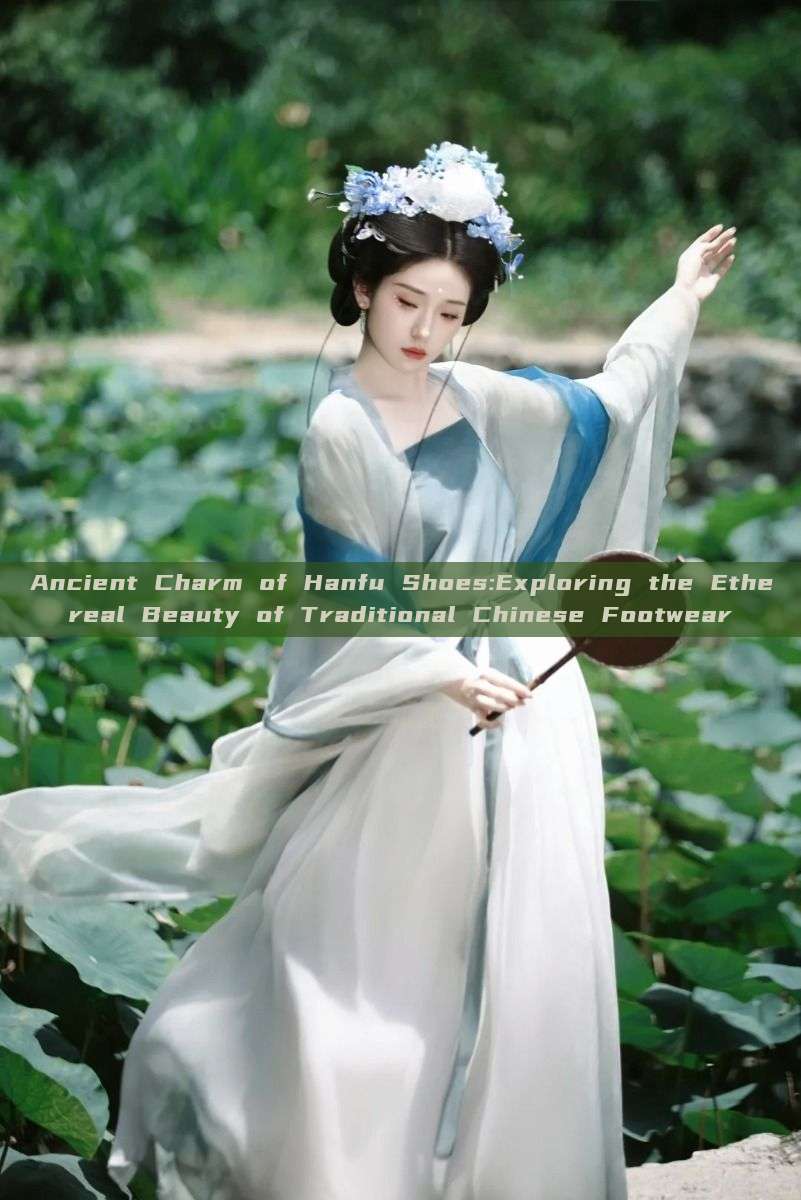 Ancient Charm of Hanfu Shoes:Exploring the Ethereal Beauty of Traditional Chinese Footwear Ancient Charm of Hanfu Shoes:Exploring the Ethereal Beauty of Traditional Chinese Footwear