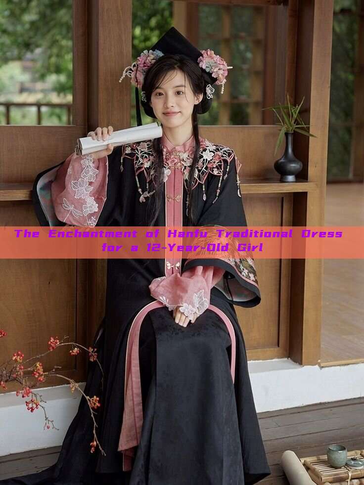 The Enchantment of Hanfu Traditional Dress for a 12-Year-Old Girl The Enchantment of Hanfu Traditional Dress for a 12-Year-Old Girl