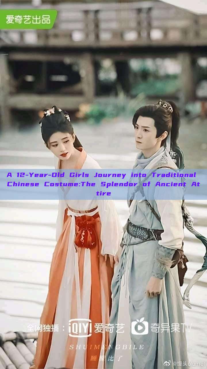 A 12-Year-Old Girls Journey into Traditional Chinese Costume:The Splendor of Ancient Attire A 12-Year-Old Girls Journey into Traditional Chinese Costume:The Splendor of Ancient Attire