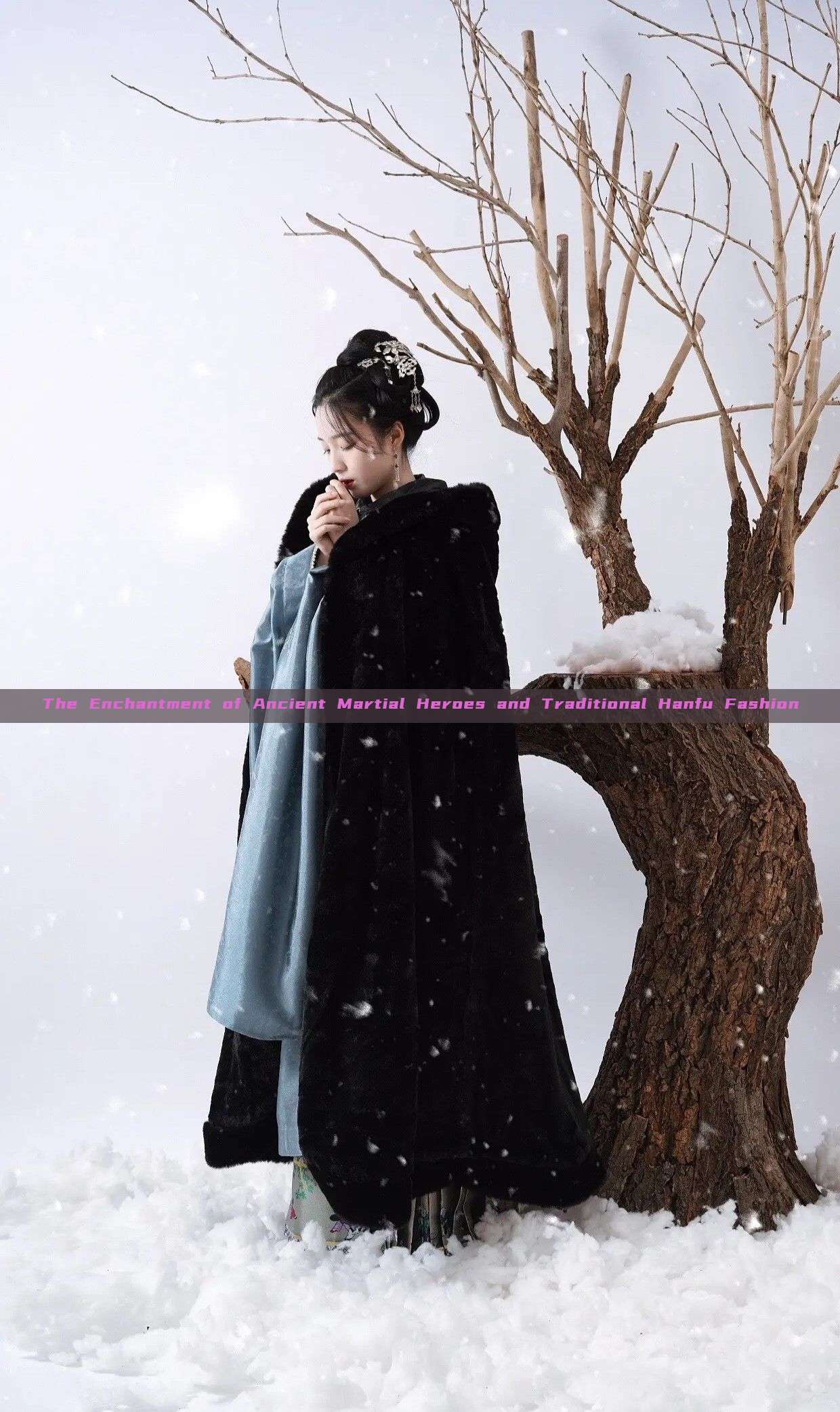 The Enchantment of Ancient Martial Heroes and Traditional Hanfu Fashion The Enchantment of Ancient Martial Heroes and Traditional Hanfu Fashion
