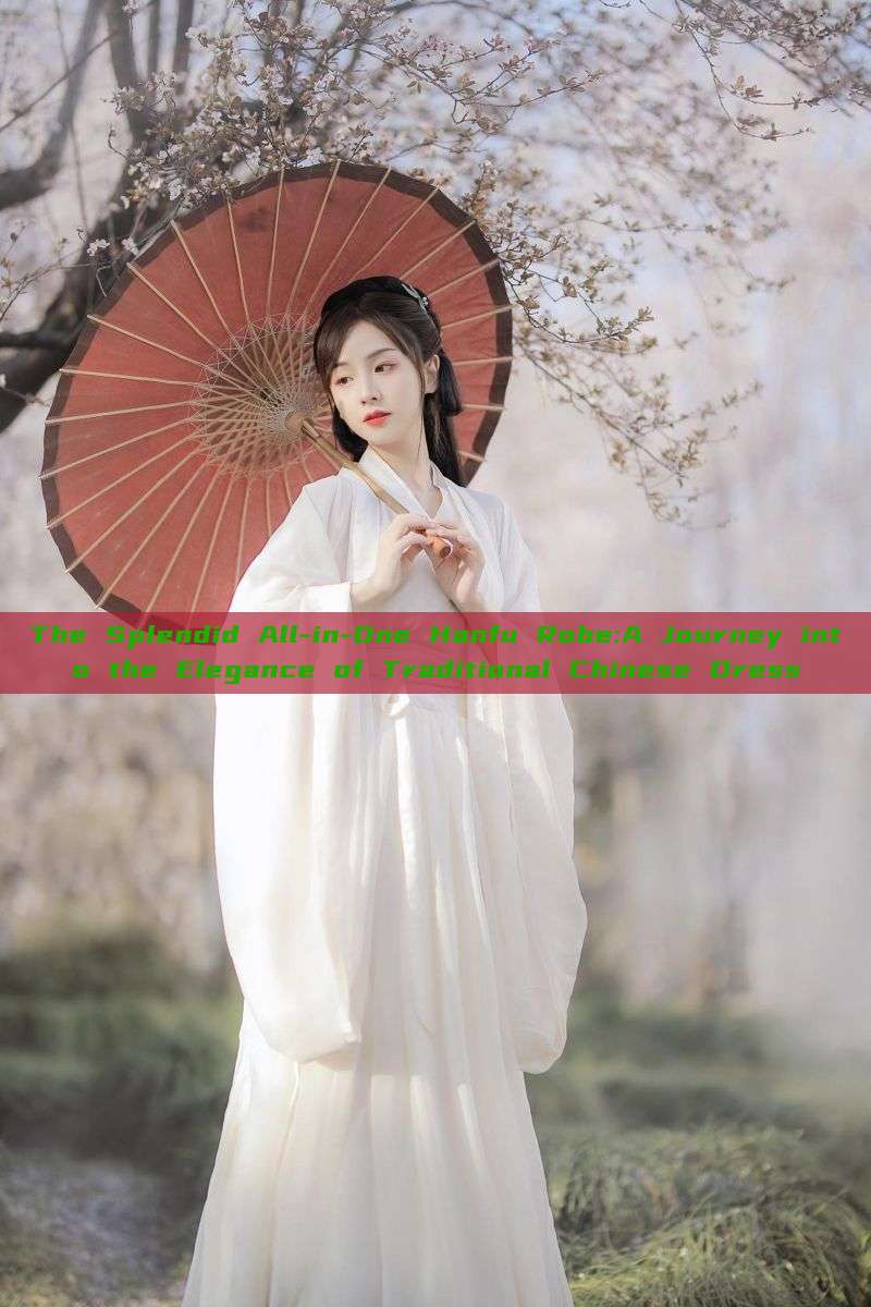 The Splendid All-in-One Hanfu Robe:A Journey into the Elegance of Traditional Chinese Dress The Splendid All-in-One Hanfu Robe:A Journey into the Elegance of Traditional Chinese Dress