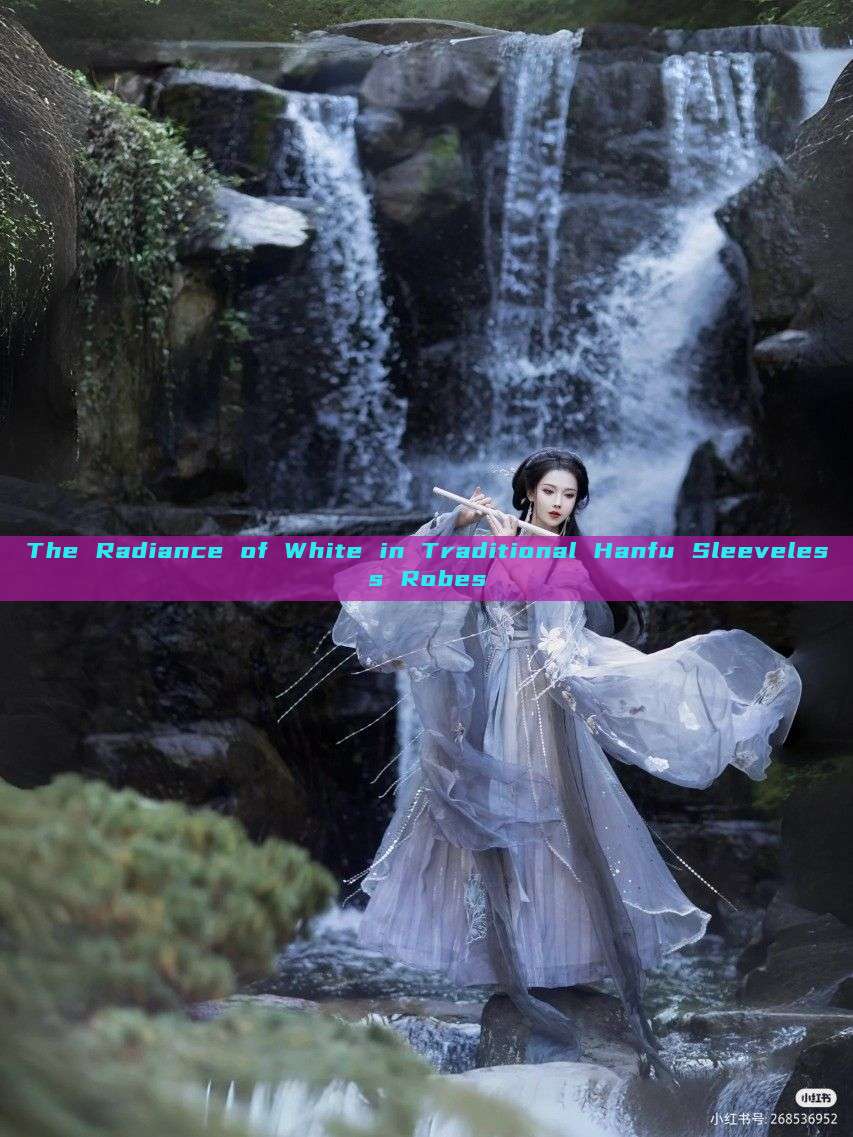 The Radiance of White in Traditional Hanfu Sleeveless Robes The Radiance of White in Traditional Hanfu Sleeveless Robes