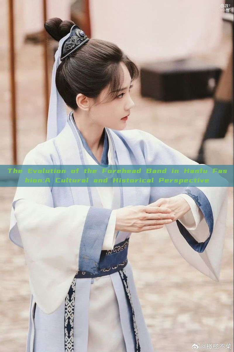 The Evolution of the Forehead Band in Hanfu Fashion:A Cultural and Historical Perspective The Evolution of the Forehead Band in Hanfu Fashion:A Cultural and Historical Perspective