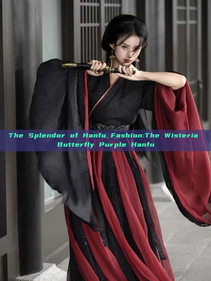 The Splendor of Hanfu Fashion:The Wisteria Butterfly Purple Hanfu The Splendor of Hanfu Fashion:The Wisteria Butterfly Purple Hanfu
