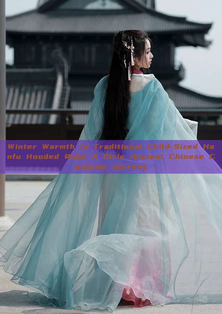 Winter Warmth in Traditional Child-Sized Hanfu Hooded Robe A Girls Ancient Chinese Costume Journey Winter Warmth in Traditional Child-Sized Hanfu Hooded Robe A Girls Ancient Chinese Costume Journey