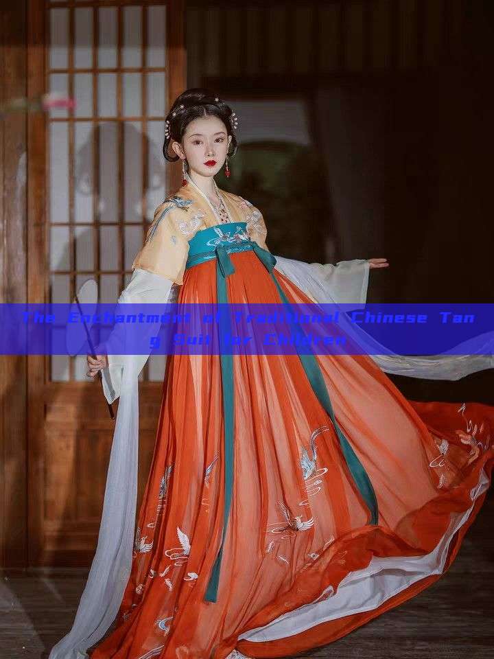 The Enchantment of Traditional Chinese Tang Suit for Children