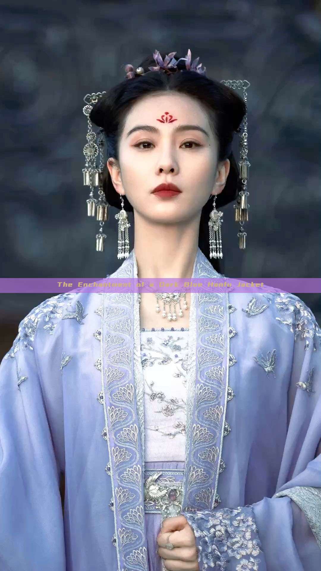 The Enchantment of a Dark Blue Hanfu Jacket The Enchantment of a Dark Blue Hanfu Jacket