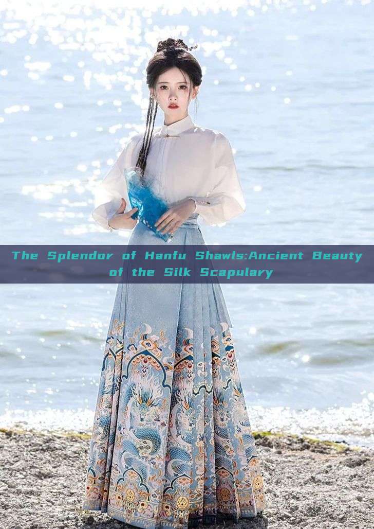 The Splendor of Hanfu Shawls:Ancient Beauty of the Silk Scapulary The Splendor of Hanfu Shawls:Ancient Beauty of the Silk Scapulary
