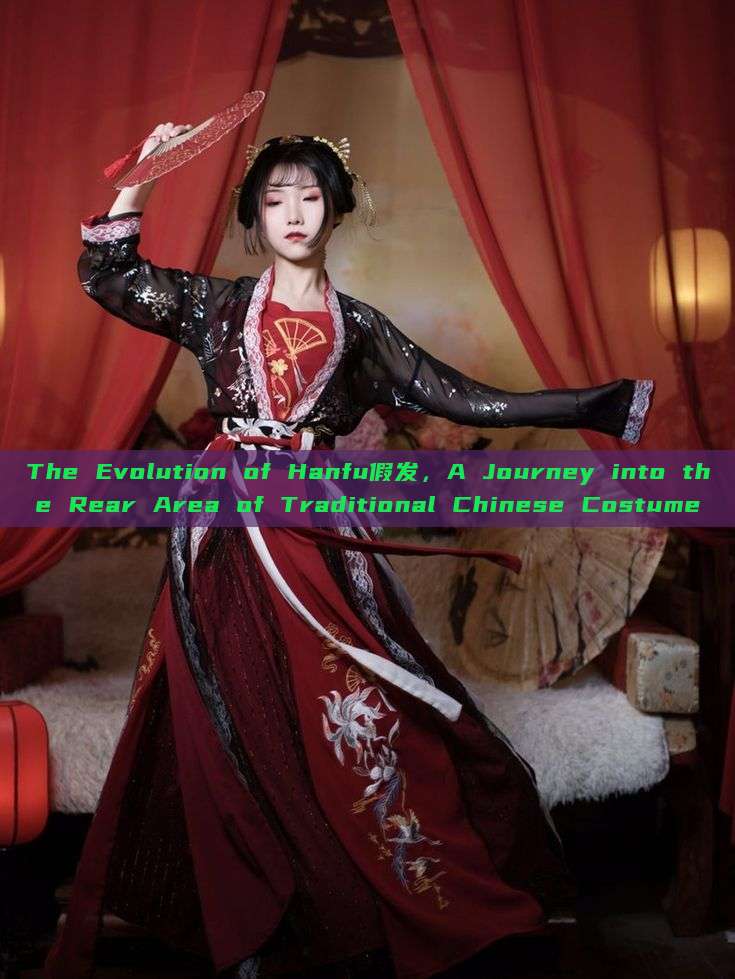 The Evolution of Hanfu假发,A Journey into the Rear Area of Traditional Chinese Costume The Evolution of Hanfu假发,A Journey into the Rear Area of Traditional Chinese Costume