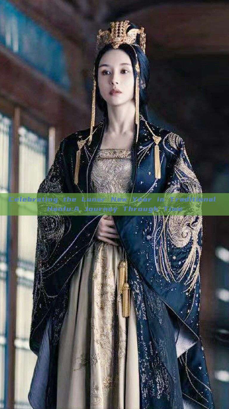 Celebrating the Lunar New Year in Traditional Hanfu:A Journey Through Time Celebrating the Lunar New Year in Traditional Hanfu:A Journey Through Time