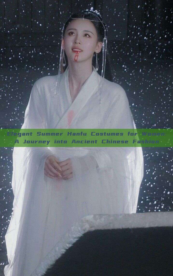 Elegant Summer Hanfu Costumes for Women:A Journey into Ancient Chinese Fashion Elegant Summer Hanfu Costumes for Women:A Journey into Ancient Chinese Fashion