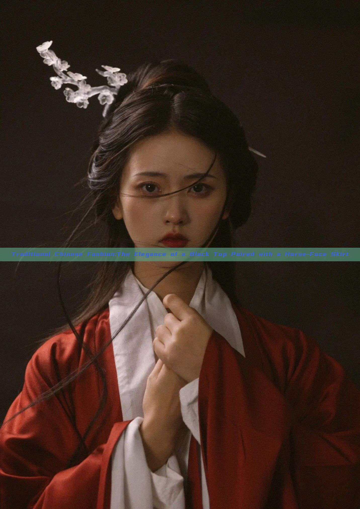 Traditional Chinese Fashion:The Elegance of a Black Top Paired with a Horse-Face Skirt Traditional Chinese Fashion:The Elegance of a Black Top Paired with a Horse-Face Skirt