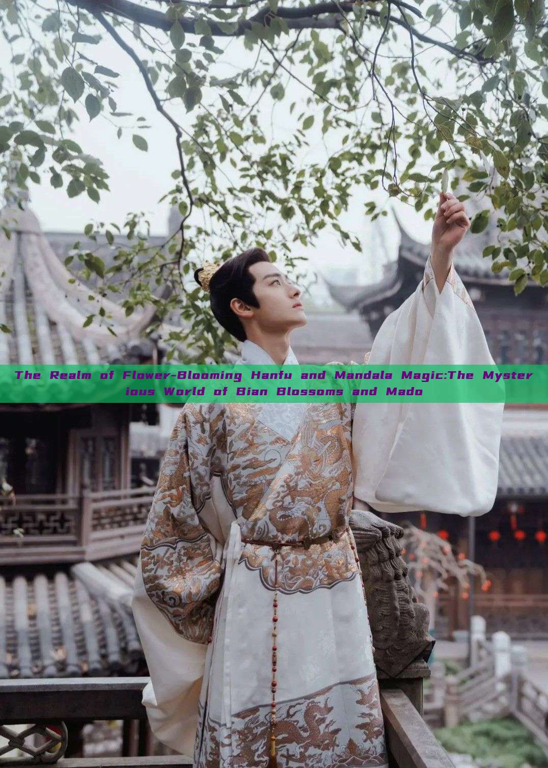 The Realm of Flower-Blooming Hanfu and Mandala Magic:The Mysterious World of Bian Blossoms and Mado The Realm of Flower-Blooming Hanfu and Mandala Magic:The Mysterious World of Bian Blossoms and Mado