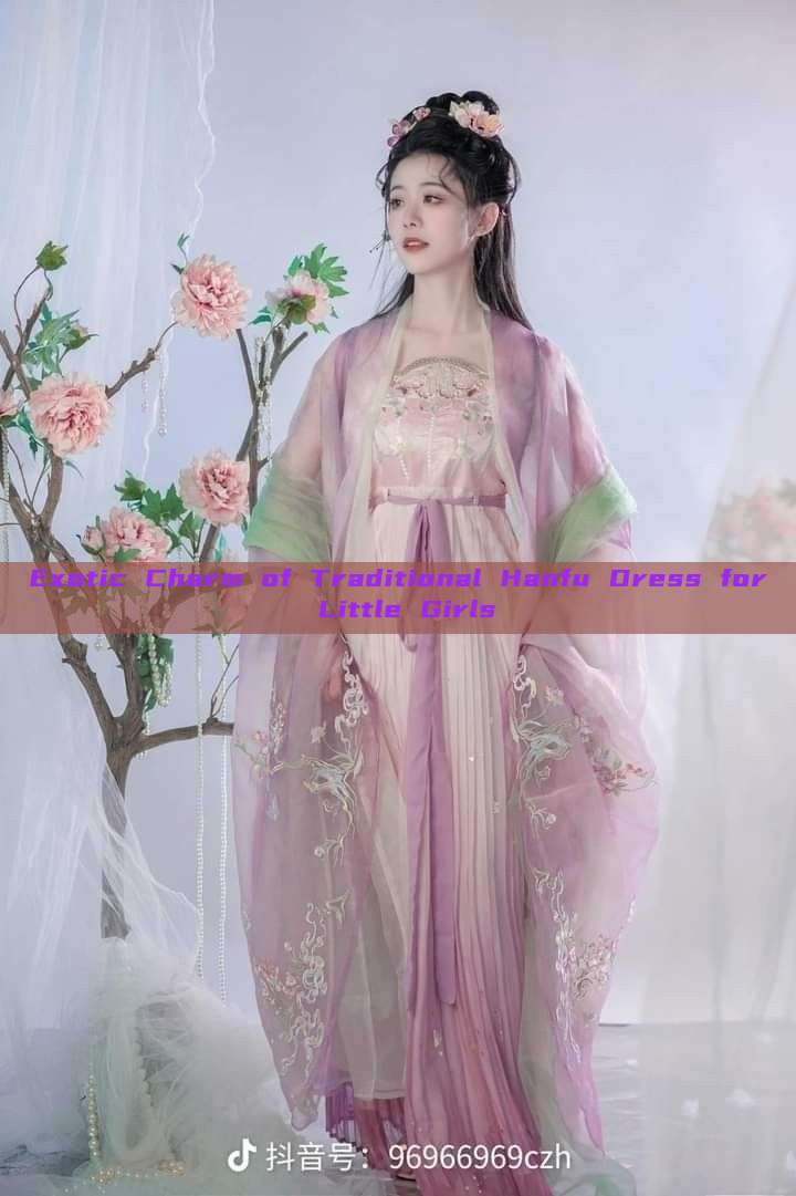 Exotic Charm of Traditional Hanfu Dress for Little Girls Exotic Charm of Traditional Hanfu Dress for Little Girls