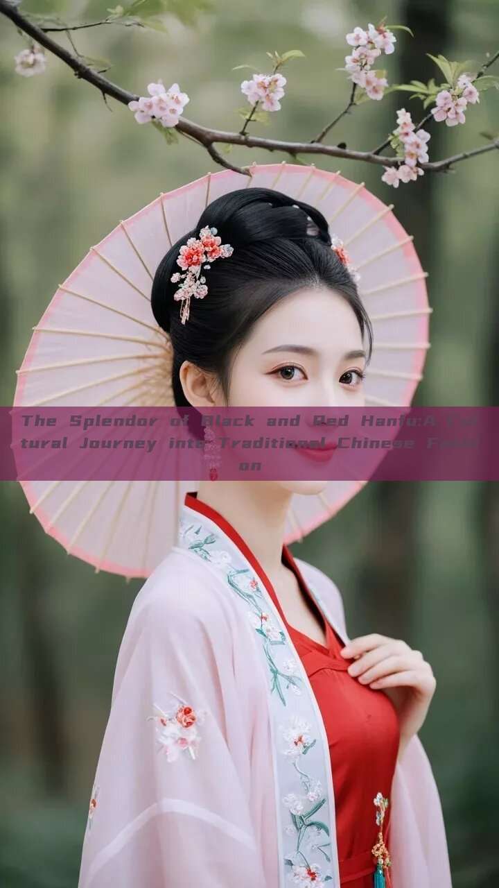 The Splendor of Black and Red Hanfu:A Cultural Journey into Traditional Chinese Fashion The Splendor of Black and Red Hanfu:A Cultural Journey into Traditional Chinese Fashion